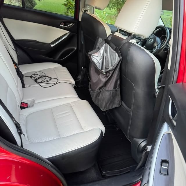Auto Detailing